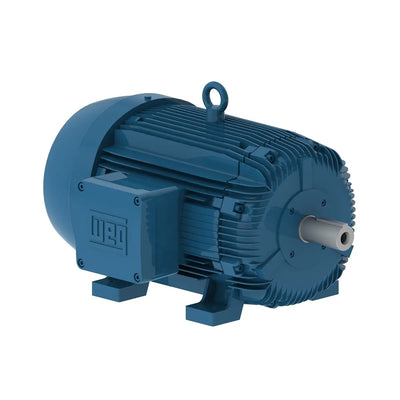 WEG 00318XT3E182TC