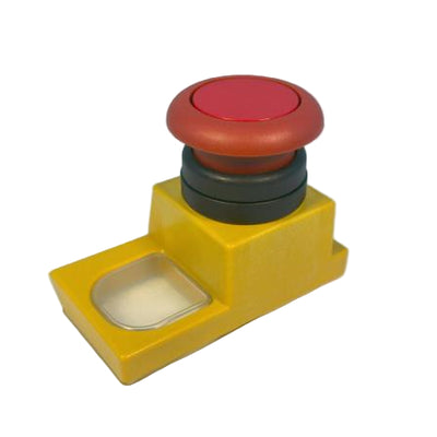 P-PKZM1