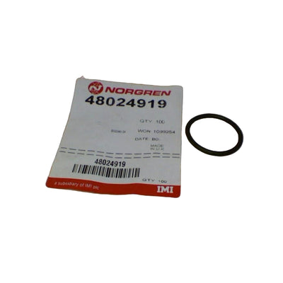 48024919-QTY100