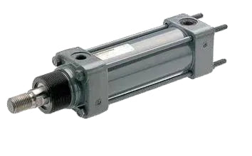WRM/55451/M/100
