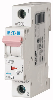 PLS6-D2-MW