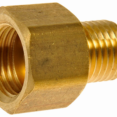 36053031