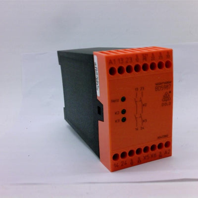 BD5987.02/001 AC110V 50/60HZ