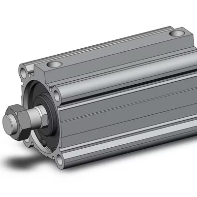 CDQ2A63-100DMZ-P3DWL