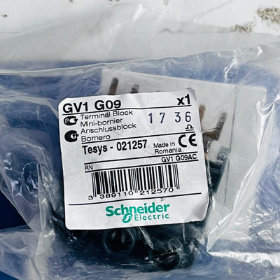 GV1G09