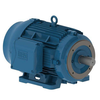 WEG 00518ET3E184T-W22