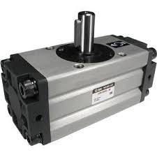 CDRA1BS80190