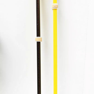 WENGLOR SG2-30IS165C1 + SG2-30IE165C1